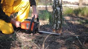 Best Lawn Drainage Solutions  in Mahopac, NY