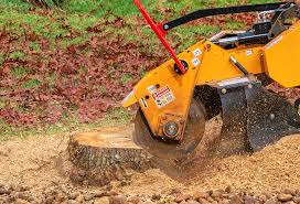 Best Pest Control for Lawns  in Mahopac, NY